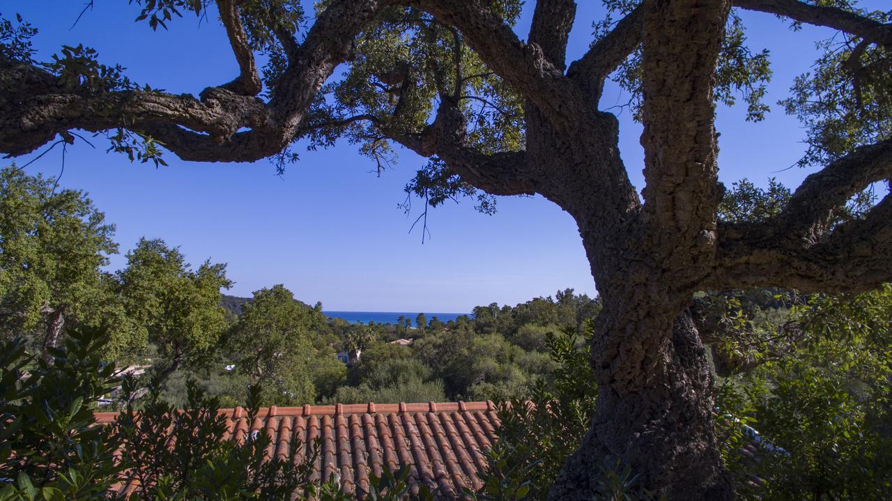 Thalassa Sainte-Lucie de Porto-Vecchio ภายนอก รูปภาพ