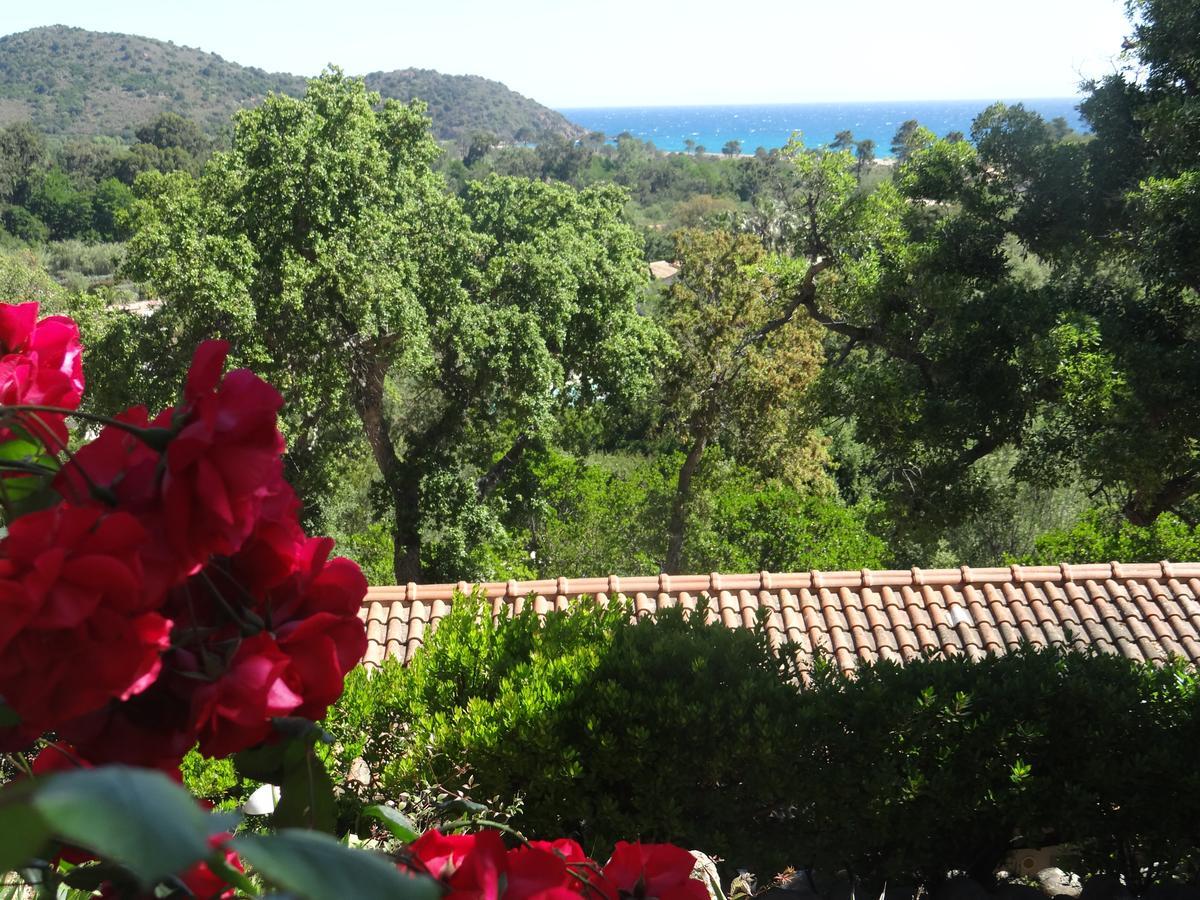 Thalassa Sainte-Lucie de Porto-Vecchio ภายนอก รูปภาพ